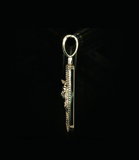 Lion King Pendant| 925 Silver Moissanite |Iced Out Hip Hop Charm| Silver or Gold Finished